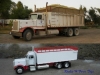 379 Peterbilt Silage Truck