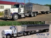 Dolechek Harvesting's 379 Peterbilts