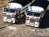Freightlier grain truck twins
