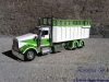 Kenworth W900 silage truck
