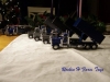 283646_391636554217308_351133764_n