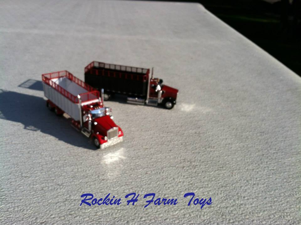 1011843_539177909463171_1916167816_n