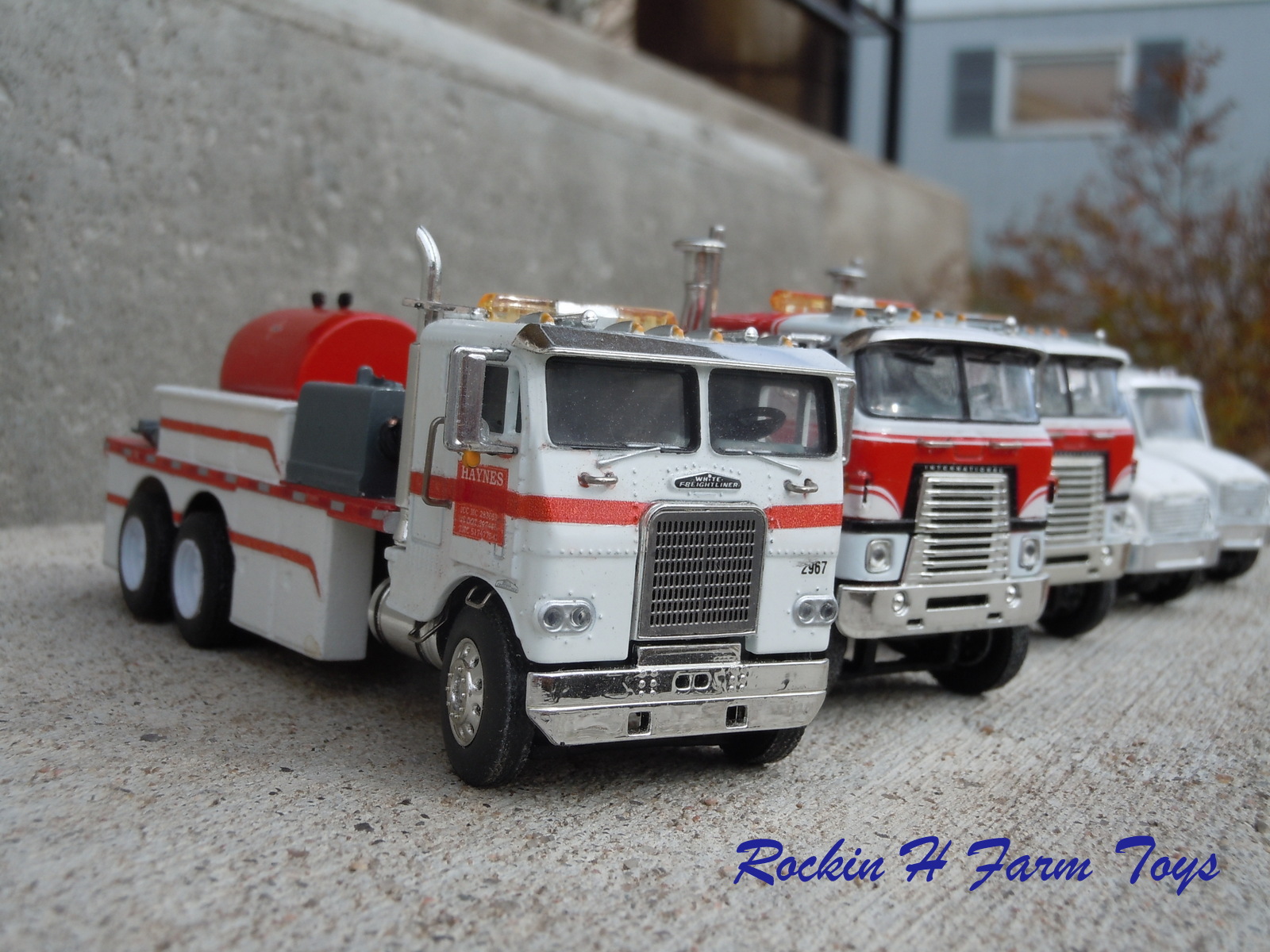 019_zpsf583801a